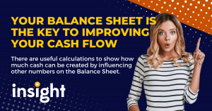 Insight CA Limited