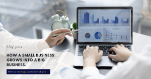 Insight CA Limited