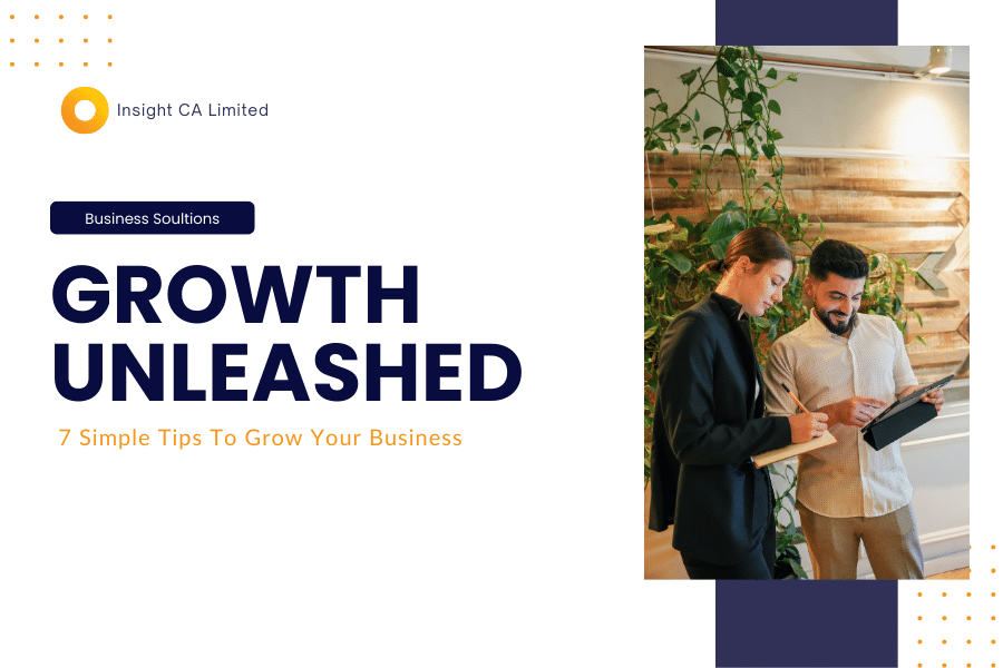 Insight CA Limited
